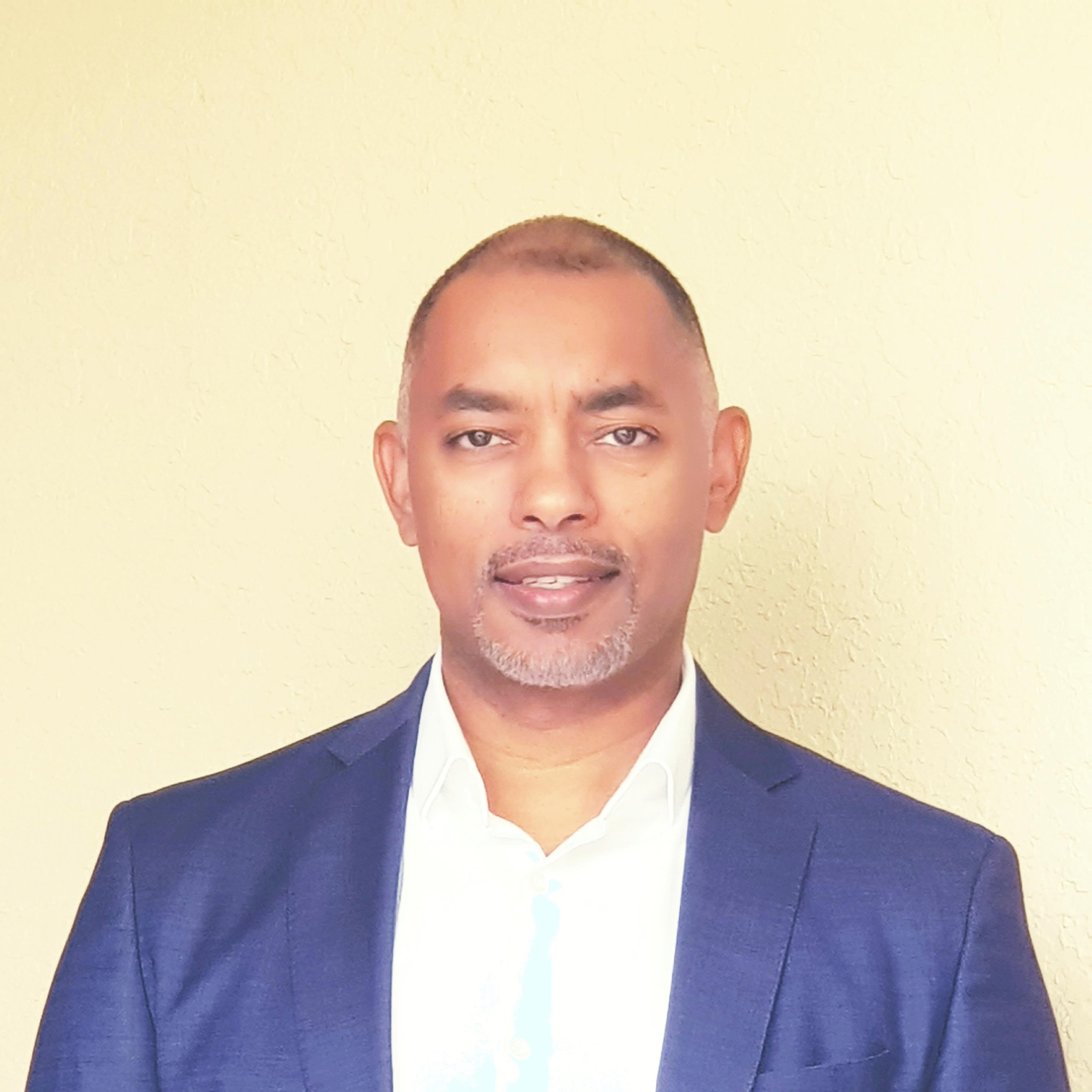 Hisham E. Nourin